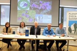 velikonocnica_encijan_nk_pzs_foto_manca_cujez